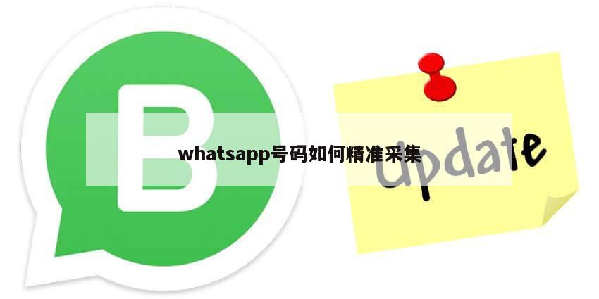 whatsapp号码如何精准采集